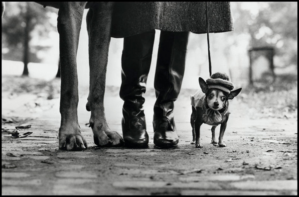 Interview with Elliott Erwitt by Professionaal Photogrpher