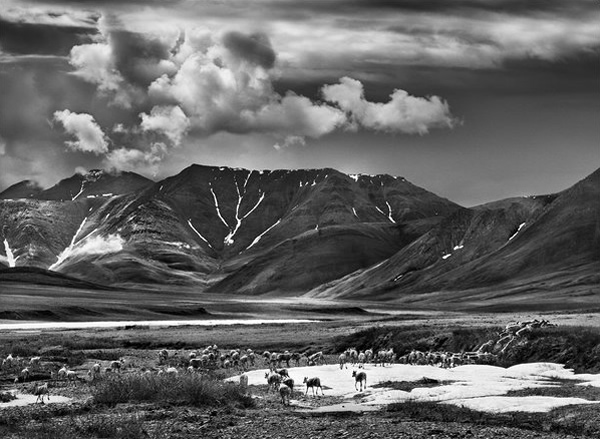 An Interview With Sebastião Salgado by The New York Times