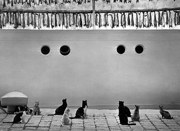 Pentti Sammallahti - Inspiration from Masters of Photography