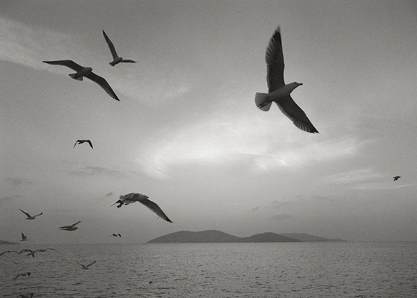 Pentti Sammallahti - Inspiration from Masters of Photography