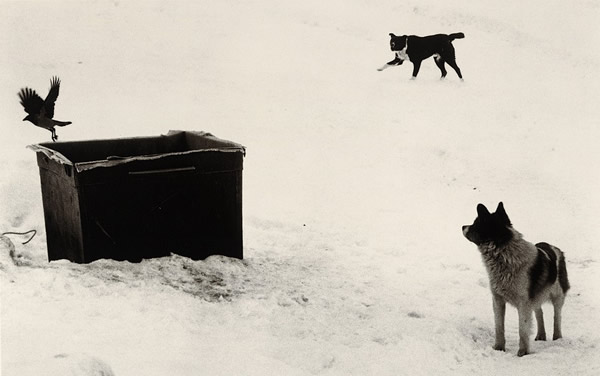 Pentti Sammallahti - Inspiration from Masters of Photography