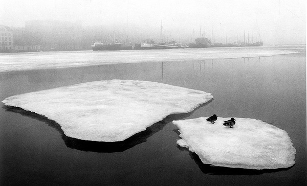 Pentti Sammallahti - Inspiration from Masters of Photography