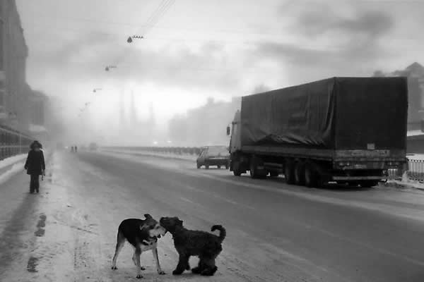 Pentti Sammallahti - Inspiration from Masters of Photography