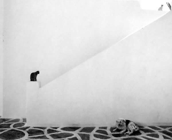 Pentti Sammallahti - Inspiration from Masters of Photography