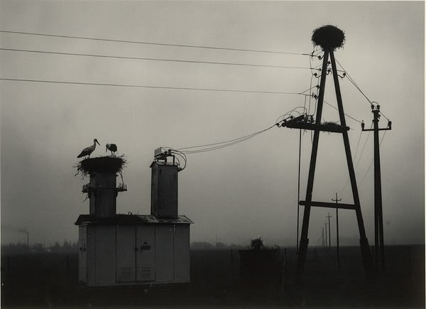 Pentti Sammallahti - Inspiration from Masters of Photography