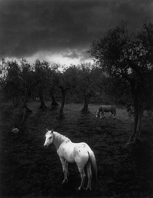 Pentti Sammallahti - Inspiration from Masters of Photography