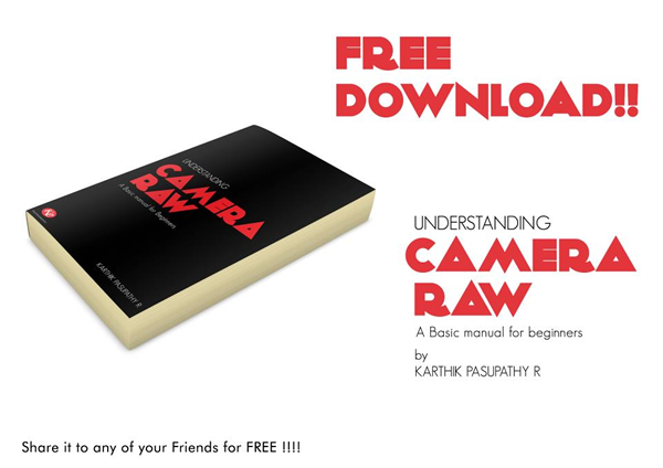 Understanding Camera RAW – A Free EBook