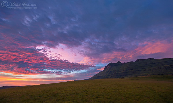 Interview with Wildlife Photographer Morkel Erasmus