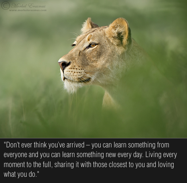 Interview with Wildlife Photographer Morkel Erasmus