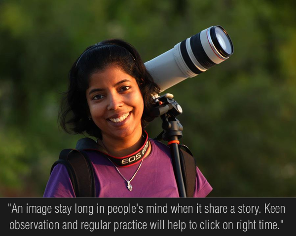 Beautiful Bird Photography by Nisha Purushothaman