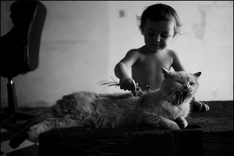 Fine Art Portraits by Alain Laboile