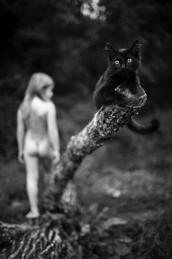 Fine Art Portraits by Alain Laboile