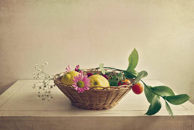 Still Life Fine Art Photography by Anna Nemoy