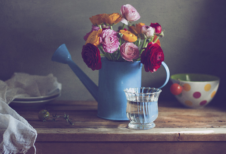 Still Life Fine Art Photography by Anna Nemoy