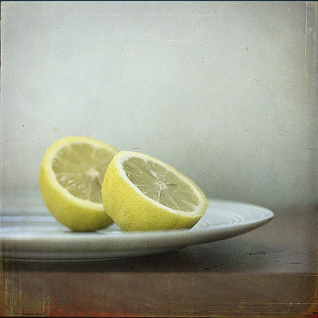 Still Life Fine Art Photography by Anna Nemoy