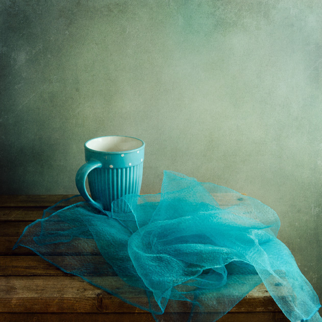 Still Life Fine Art Photography by Anna Nemoy