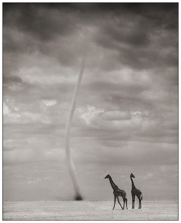 Nick Brandt - Inspiration from Masters of Photography 