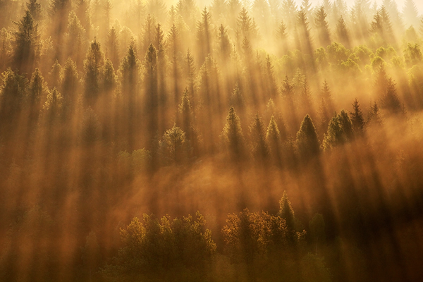 Martin Rak - The Best Landscape Photographers