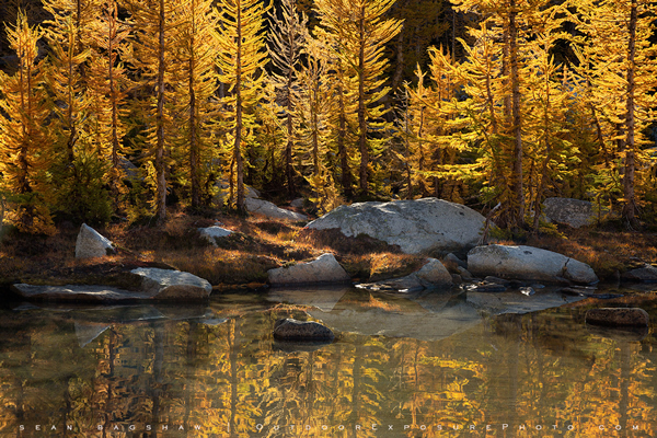 Sean Bagshaw - The Best Landscape Photographers