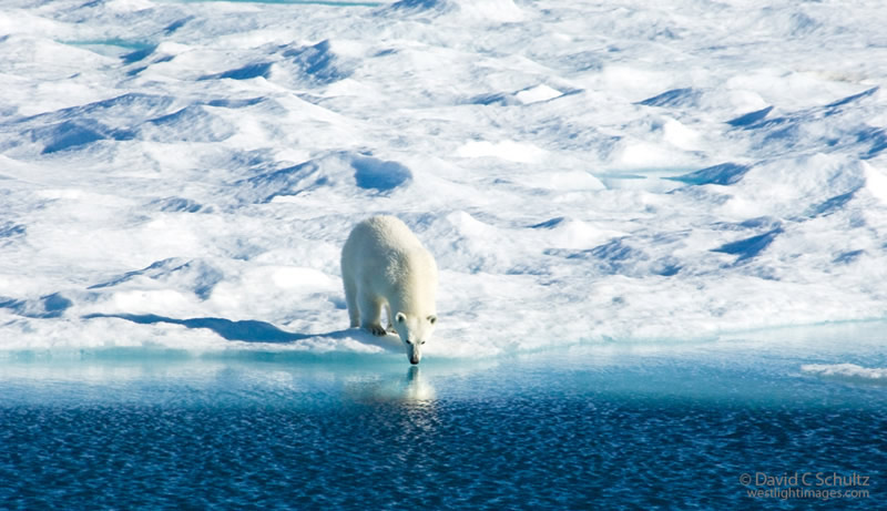 Amazing Landscape Photography by David C. Schultz