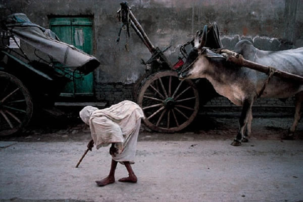 Widow, Vrindavan by Steve McCurry