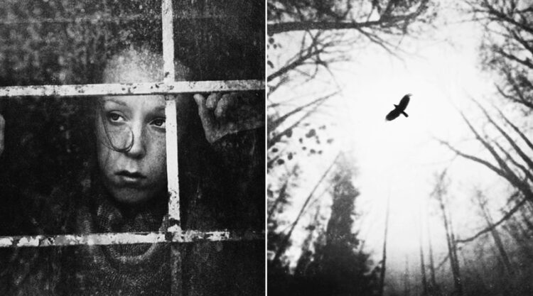 A Silent Voice through Art & Photography – Interview with Zewar Fadhil