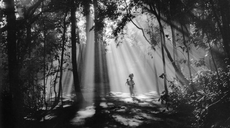 50 B&W Photographs which will tell you light is everything in photography