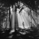 50 B&W Photographs which will tell you light is everything in photography