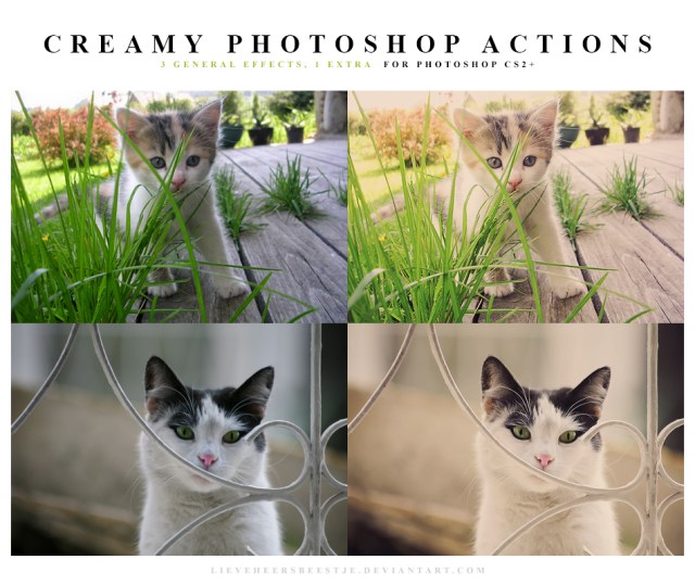 Creamy Photoshop Actions