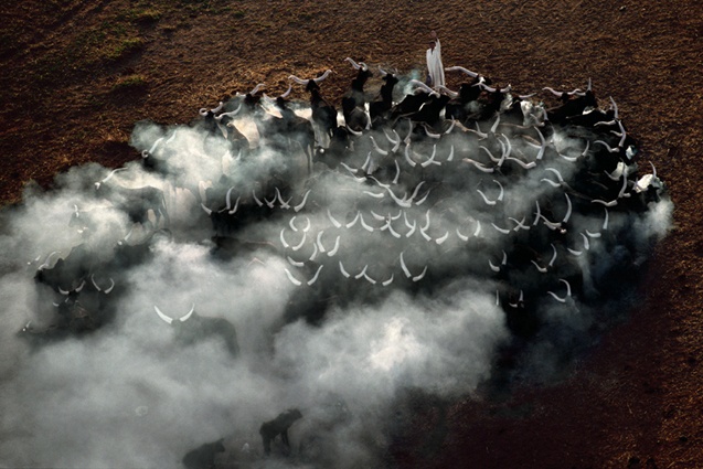 Yann Arthus-Bertrand - Inspiration from Masters of Photography