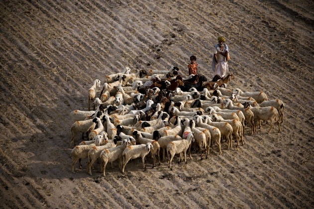 Yann Arthus-Bertrand - Inspiration from Masters of Photography