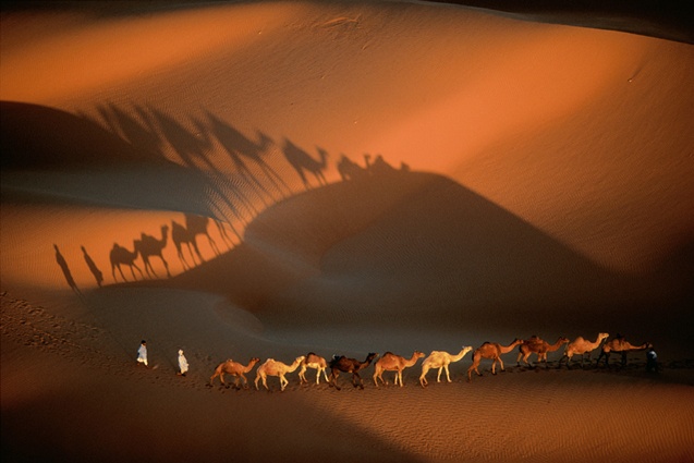 Yann Arthus-Bertrand - Inspiration from Masters of Photography