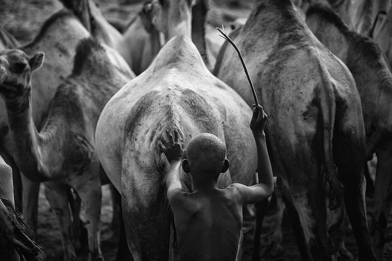 The Daily Life of African Tribes by Mario Gerth