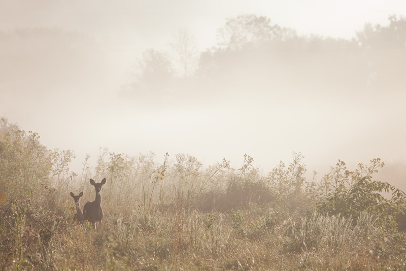 Matthew Studebaker Photography