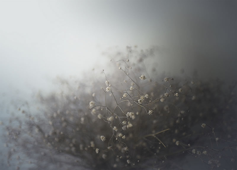 Feel the Springtime - Super soft photographs by Rachel Bellinsky