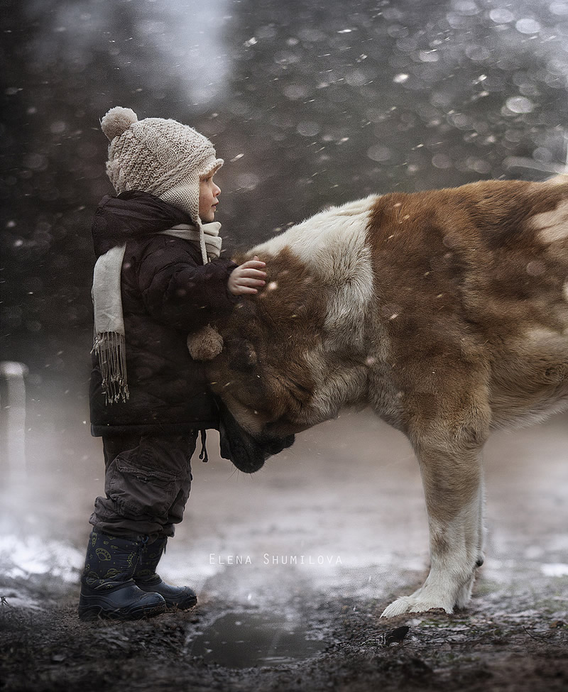 Elena Shumilova - Russian Mother Takes Amazing Portraits of Her Two Kids with Animals