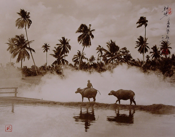 Don Hong-Oai - Inspiration from Masters of Photography