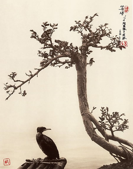 Don Hong-Oai - Inspiration from Masters of Photography