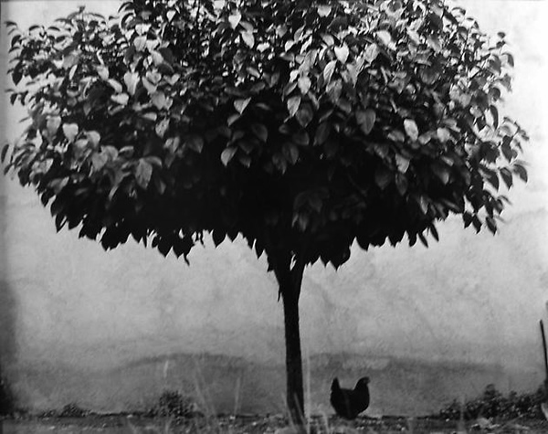 Edouard Boubat - Inspiration from Masters of Photography