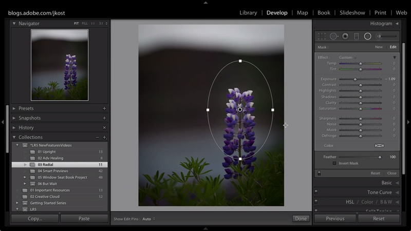 Lightroom Tutorials for Beginners: How to use Radial Filter 