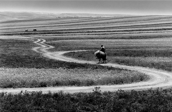 Roads to Kiarostami