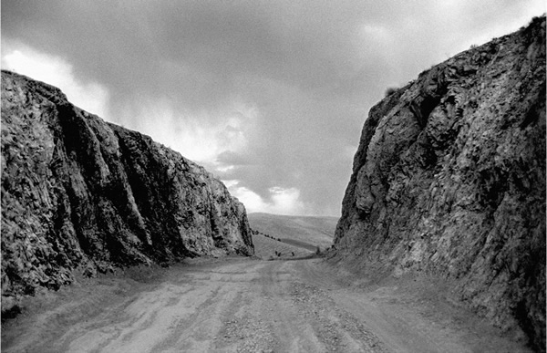 Roads to Kiarostami