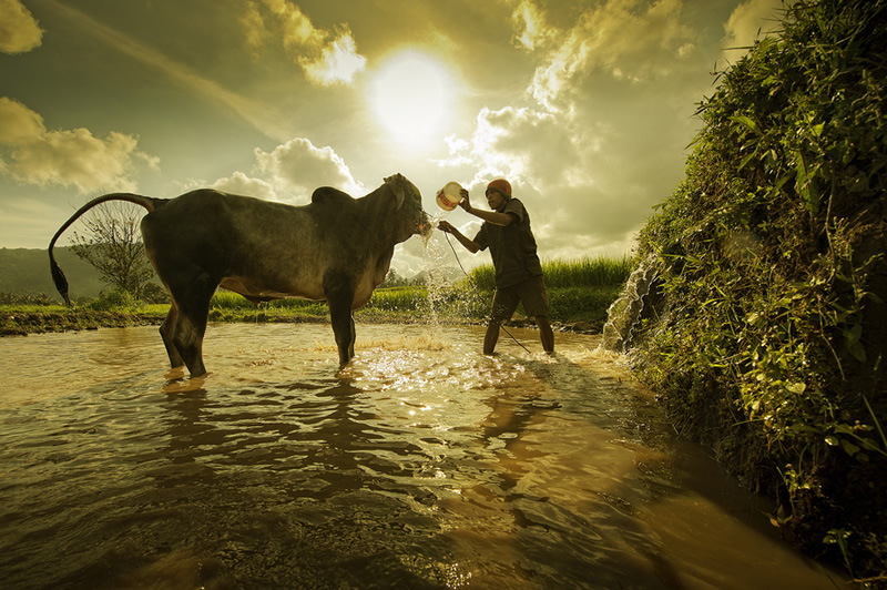 Yaman Ibrahim - An Amazing Photographer from Malaysia