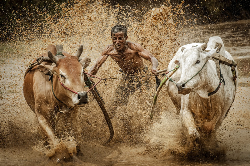 Yaman Ibrahim - An Amazing Photographer from Malaysia