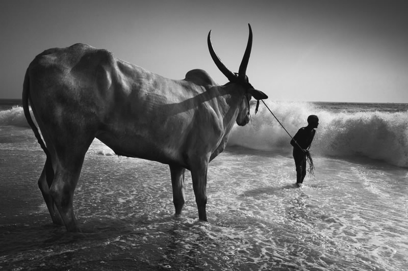 Street Photography in India - 50 Stunning Black and White Photos