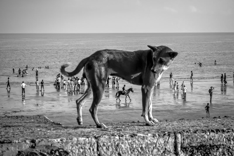 Street Photography in India - 50 Stunning Black and White Photos