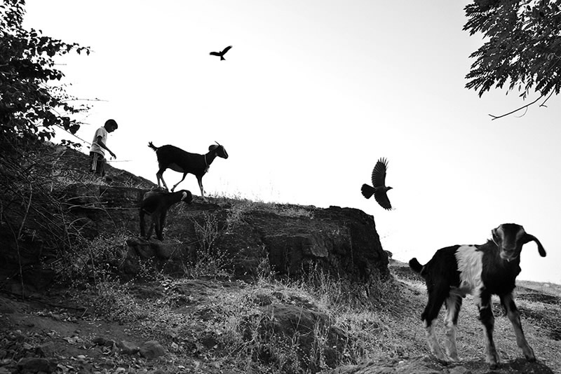 Street Photography in India - 50 Stunning Black and White Photos