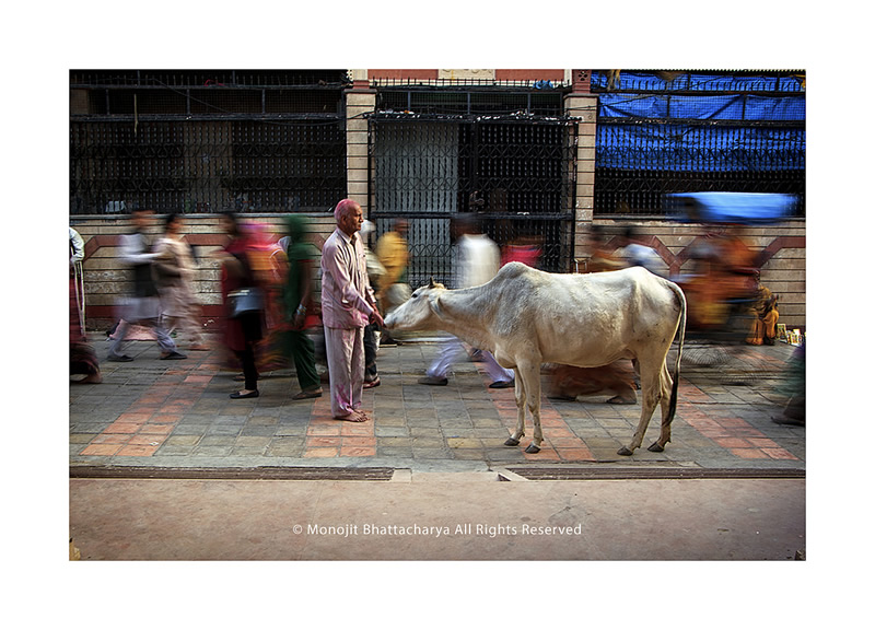 Street Photography in India - 50 Stunning Color Photos