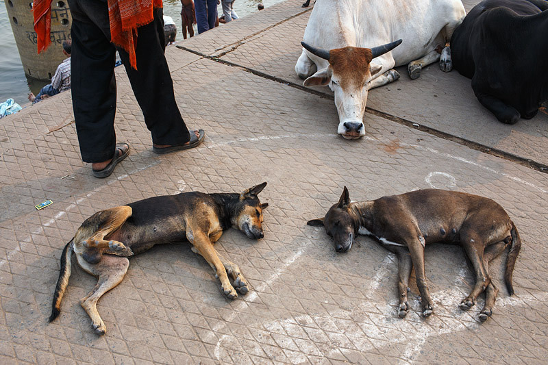 Street Photography in India - 50 Stunning Color Photos