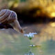 Simply Stunning Macro Photography by Vyacheslav Mishchenko